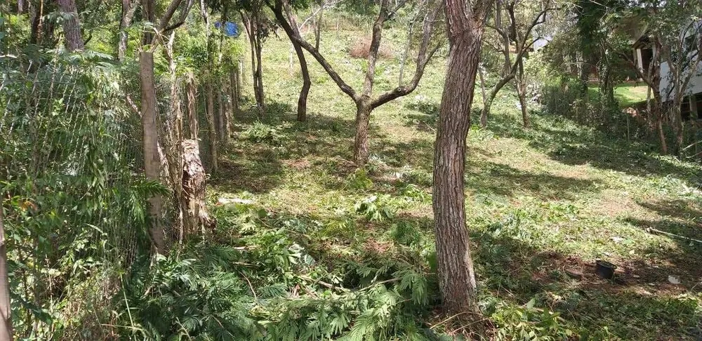 Terreno, 1050 m² - Foto 6