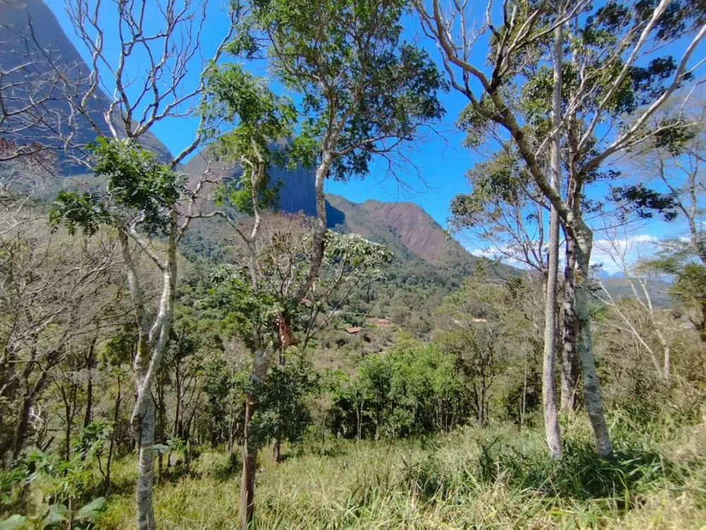 Terreno, 7500 m² - Foto 10