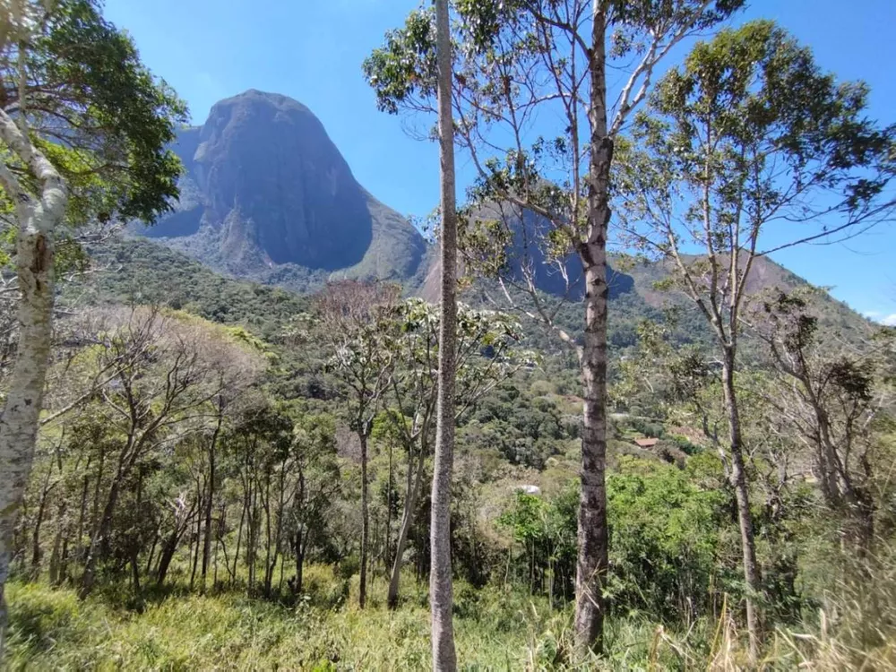 Terreno, 7500 m² - Foto 11