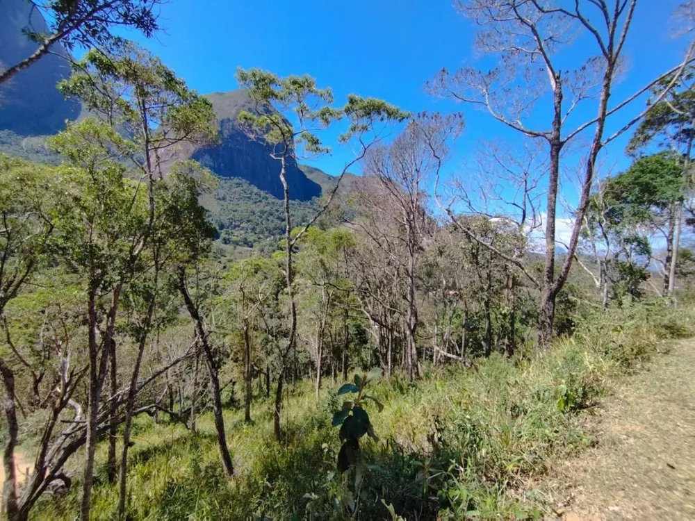 Terreno, 7500 m² - Foto 9