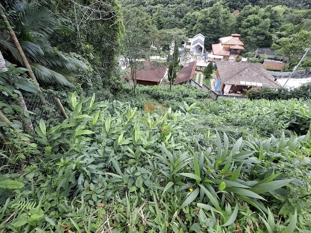 Terreno, 520 m² - Foto 10