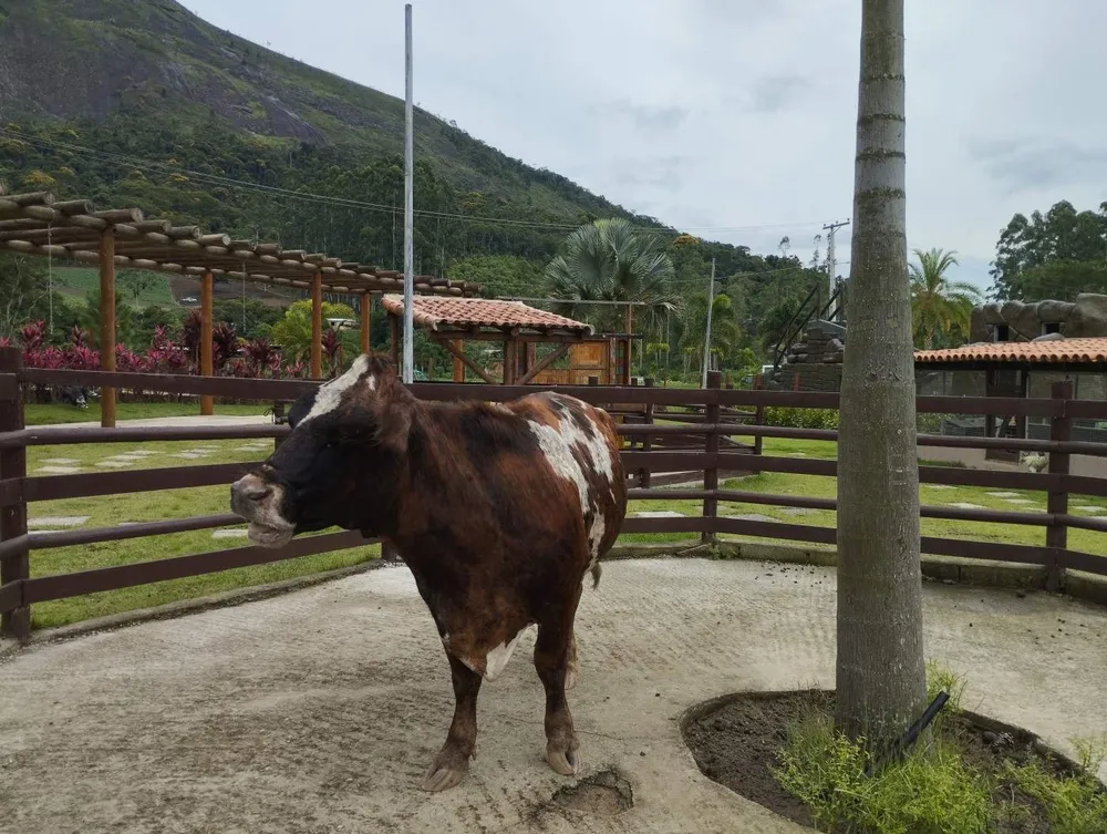 Terreno, 660 m² - Foto 11