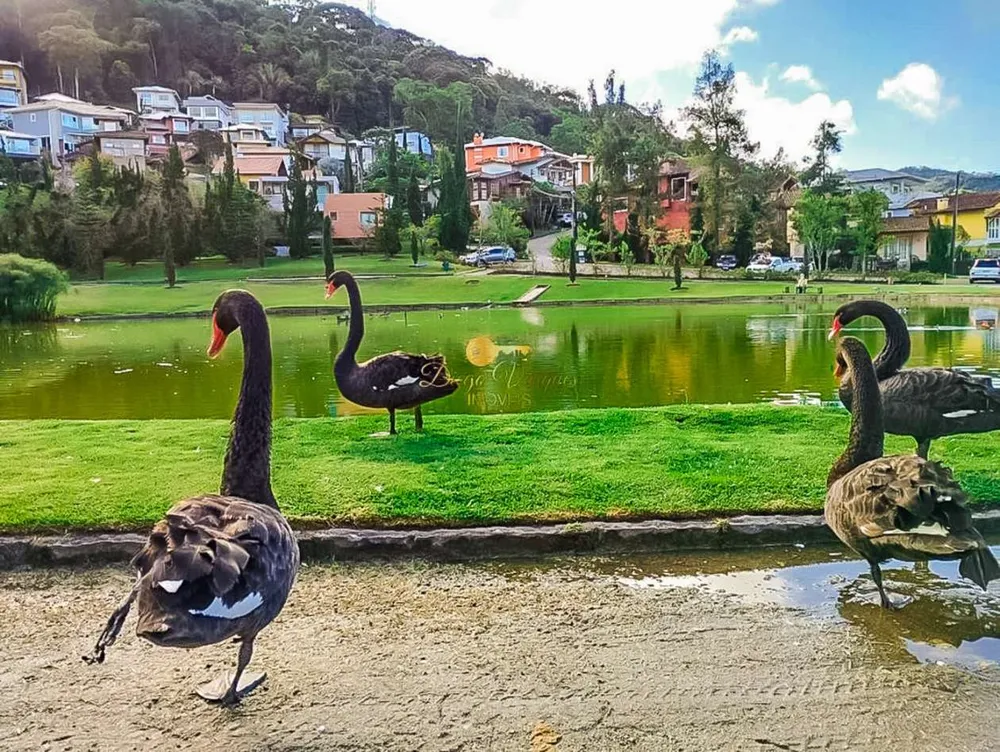 Terreno, 360 m² - Foto 40