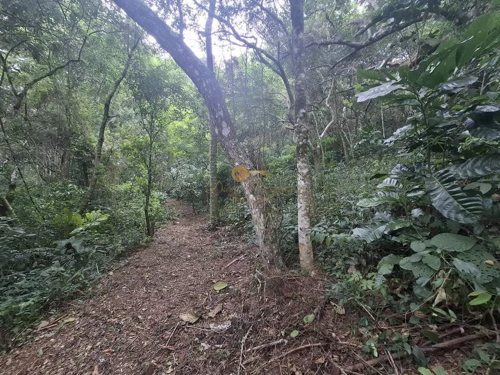 Terreno, 22 hectares - Foto 19