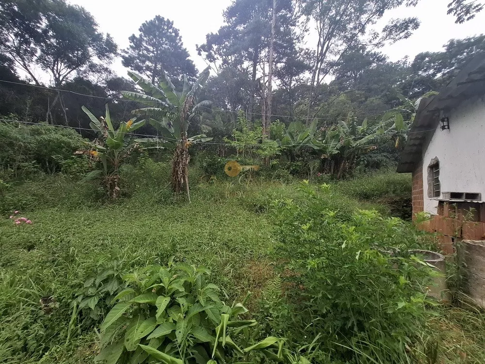 Terreno, 22 hectares - Foto 6