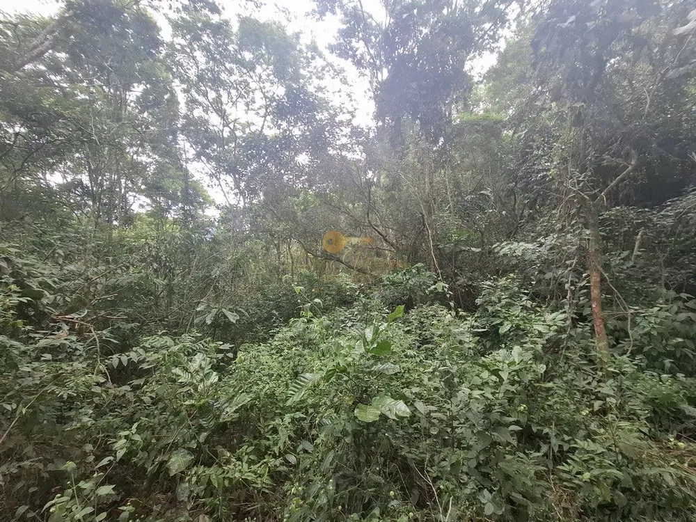 Terreno, 22 hectares - Foto 20