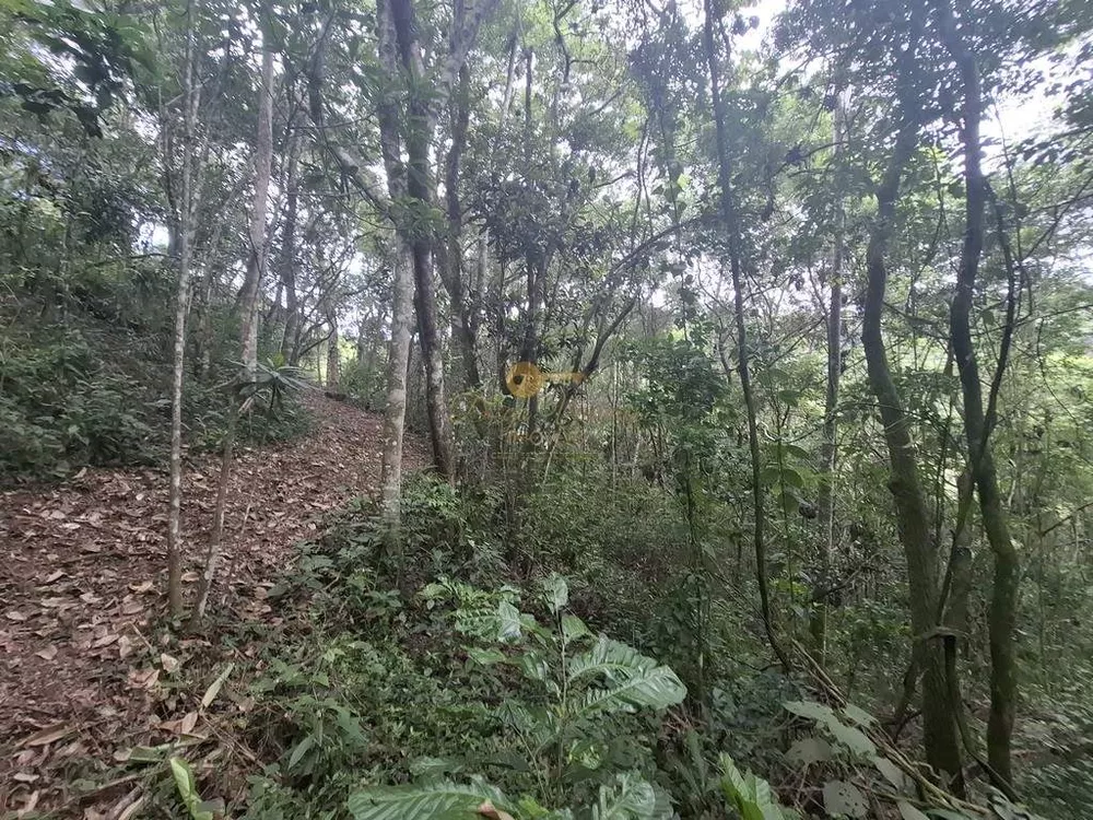 Terreno, 22 hectares - Foto 10