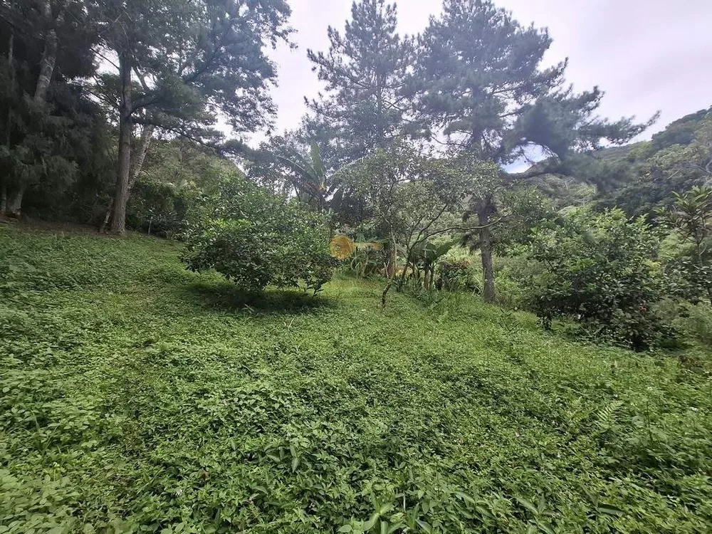 Terreno, 22 hectares - Foto 8