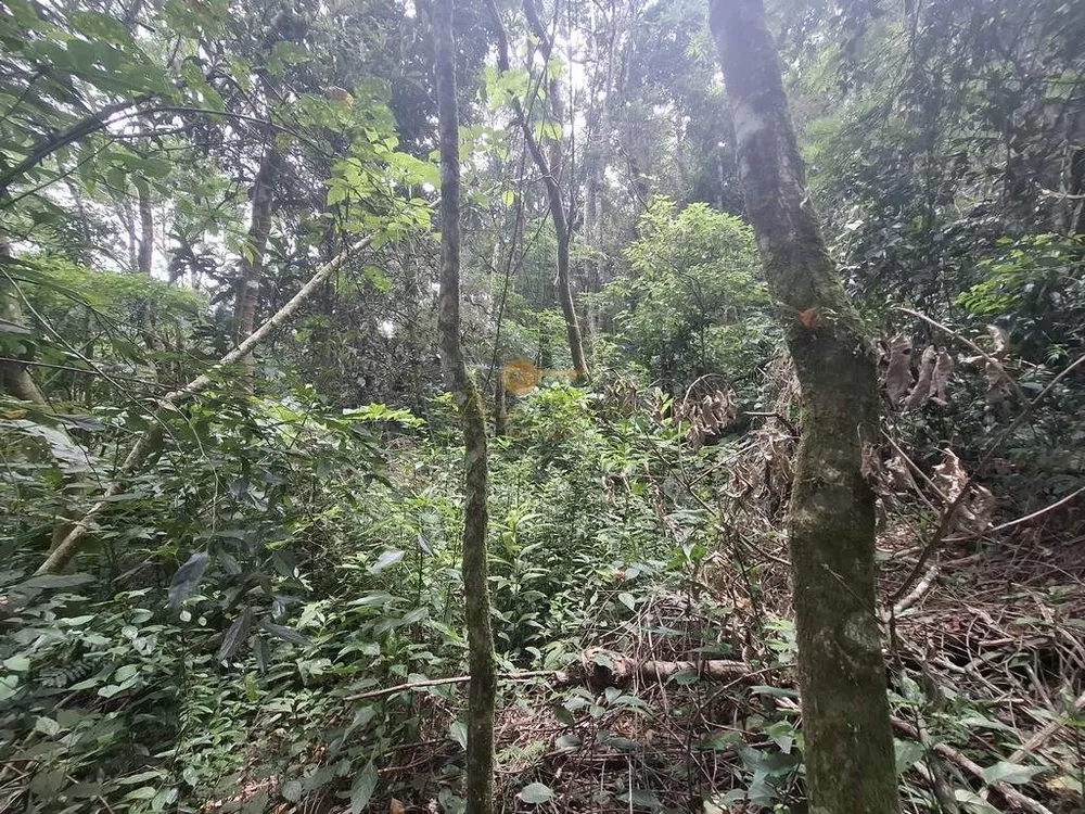 Terreno, 22 hectares - Foto 22