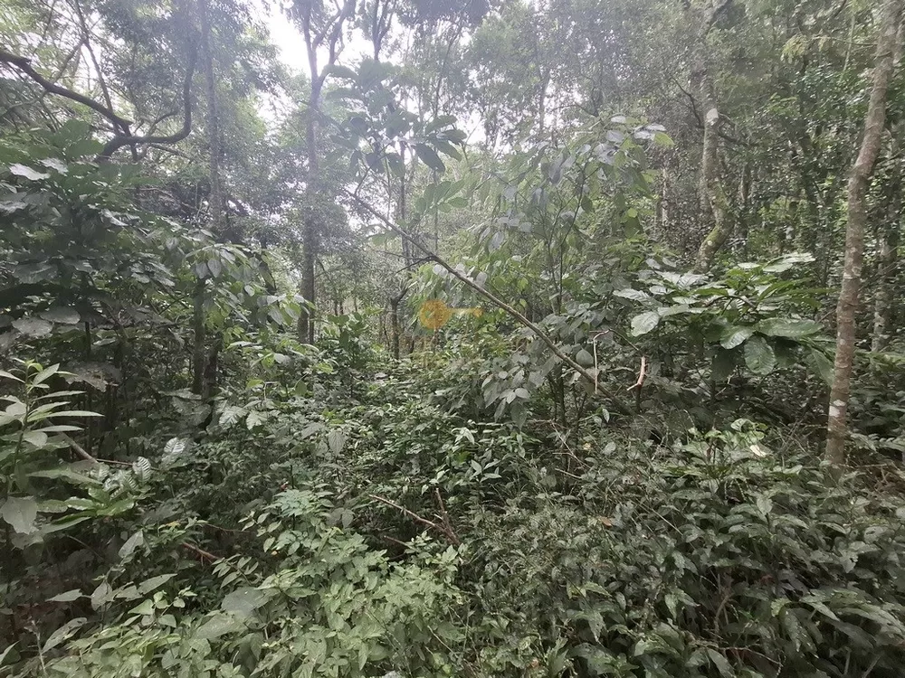 Terreno, 22 hectares - Foto 21