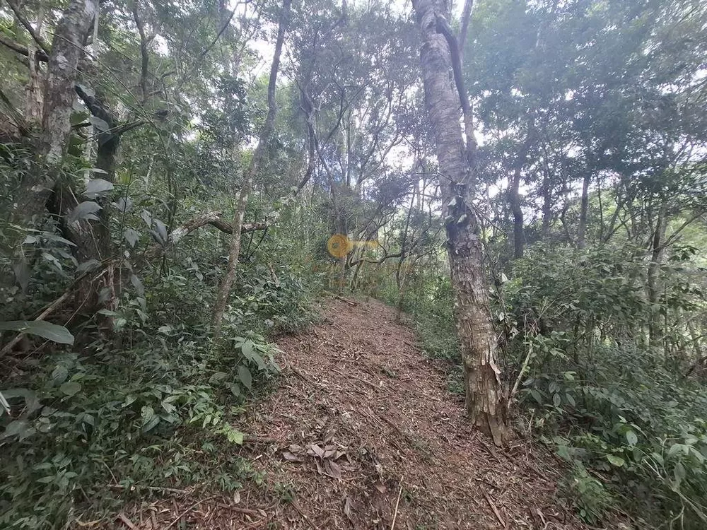 Terreno, 22 hectares - Foto 14