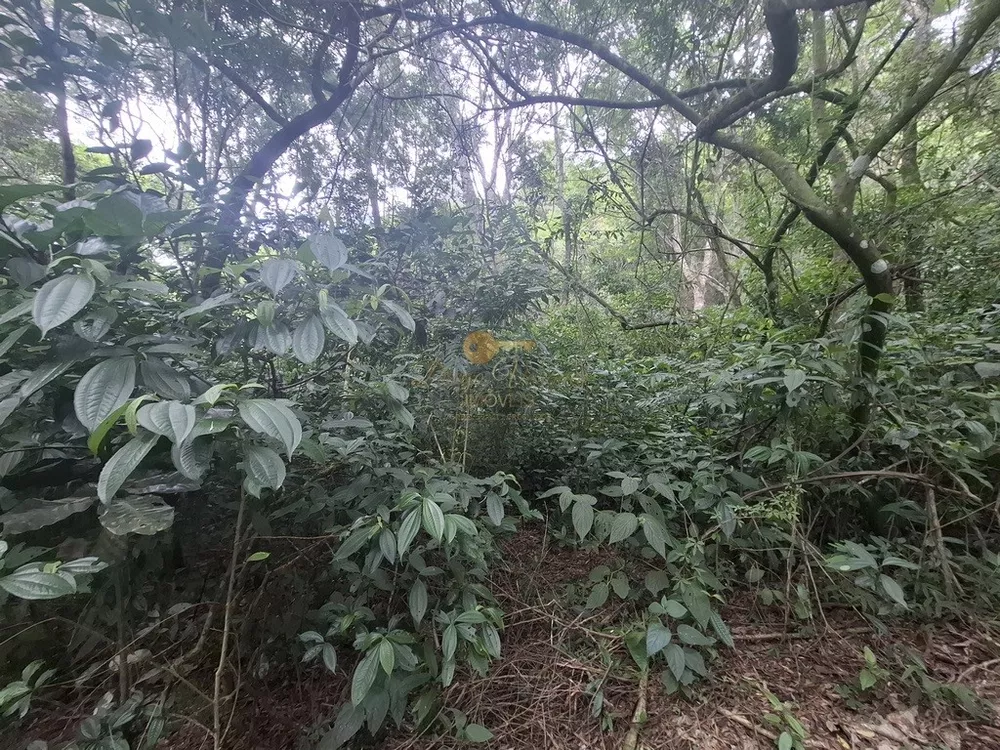 Terreno, 22 hectares - Foto 18