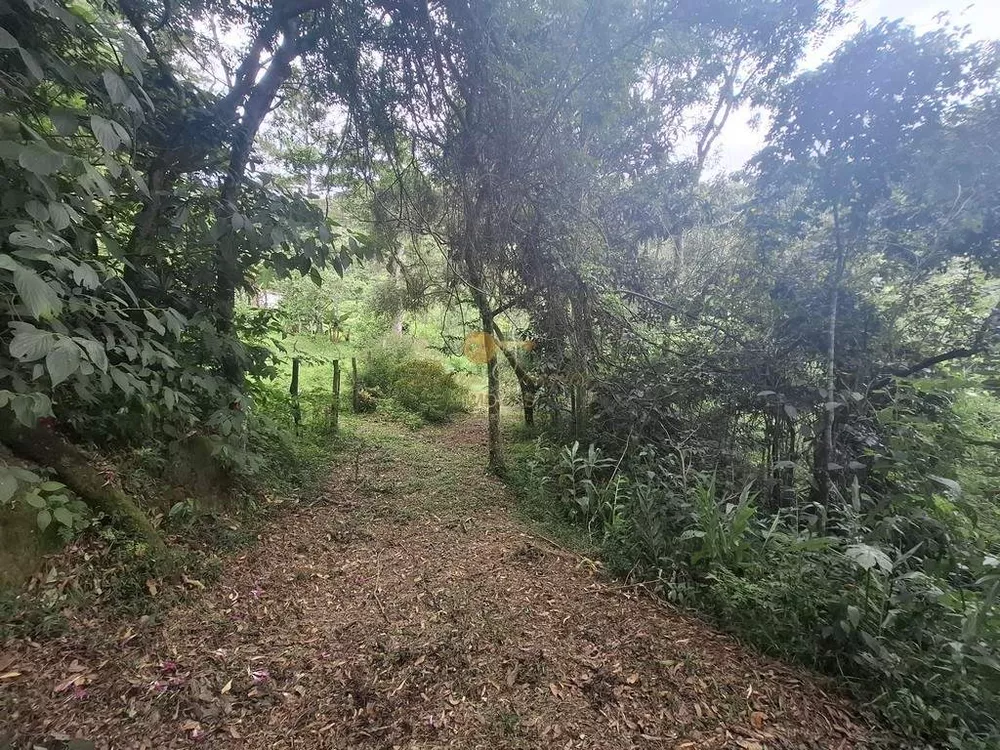 Terreno, 22 hectares - Foto 23