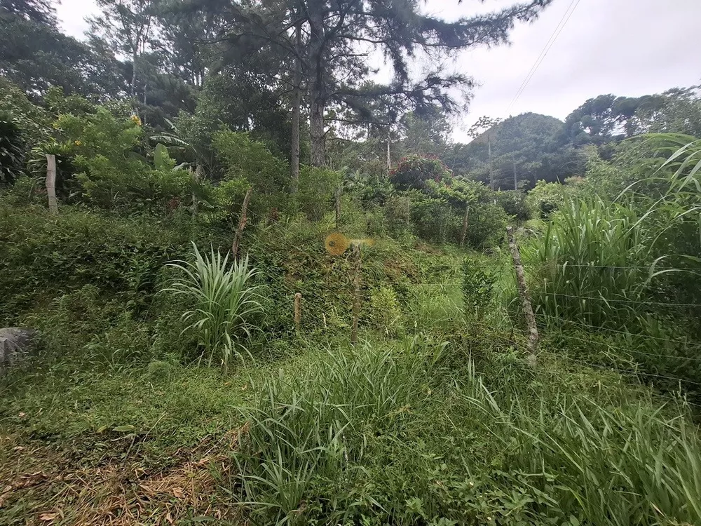 Terreno, 22 hectares - Foto 25