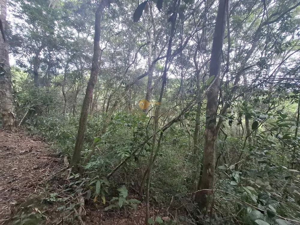 Terreno, 22 hectares - Foto 13