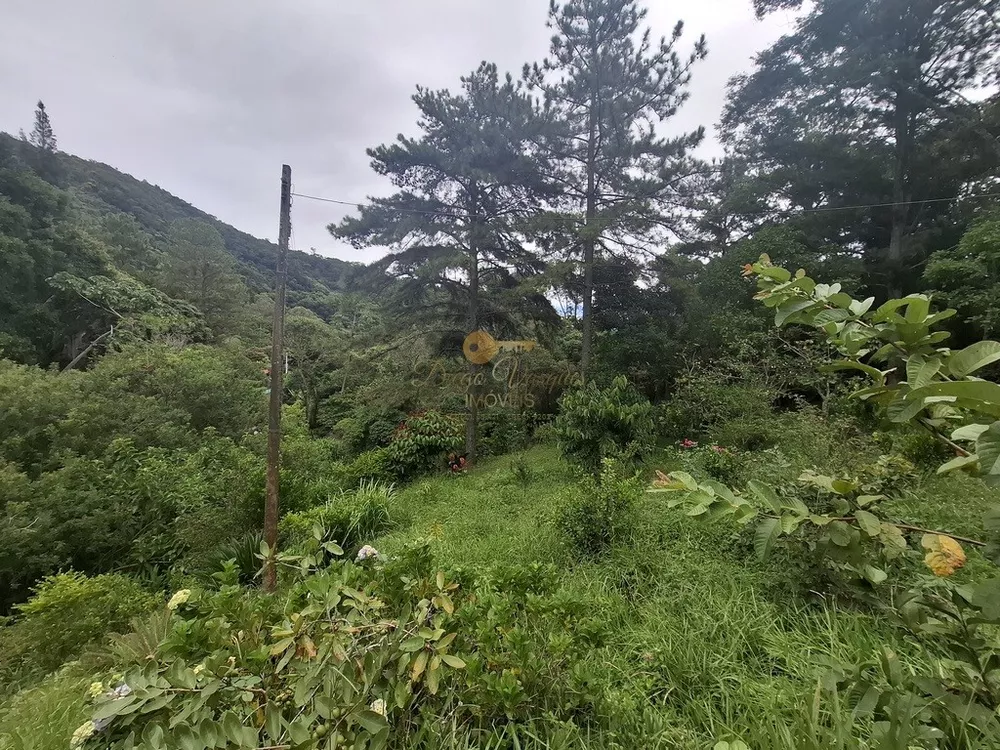 Terreno, 22 hectares - Foto 4