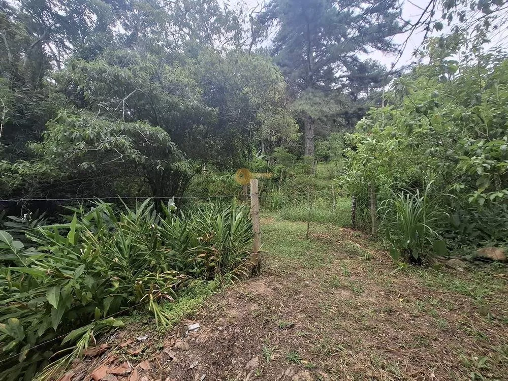 Terreno, 22 hectares - Foto 1