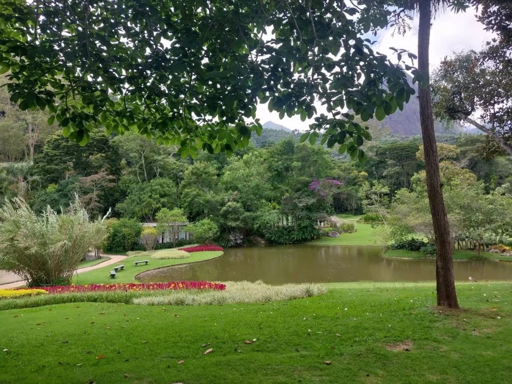 Prédio Inteiro, 847 m² - Foto 6