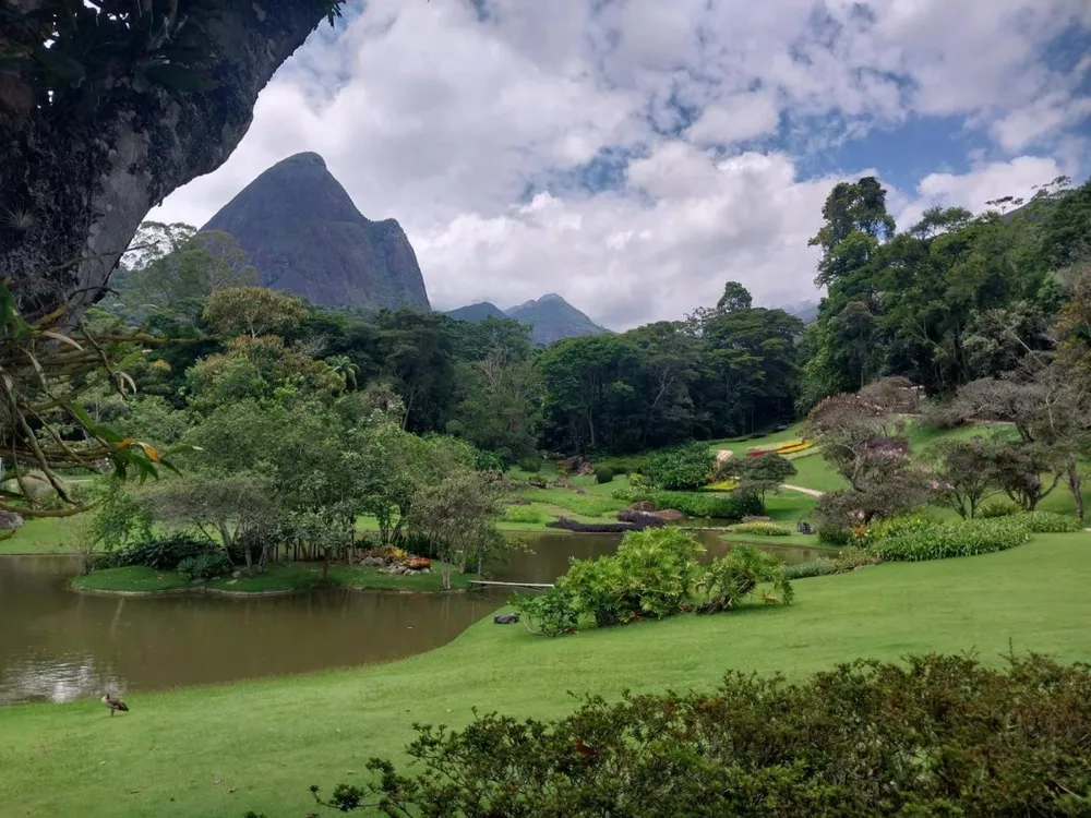 Prédio Inteiro, 847 m² - Foto 7