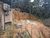 Terreno, 720 m² - Foto 2