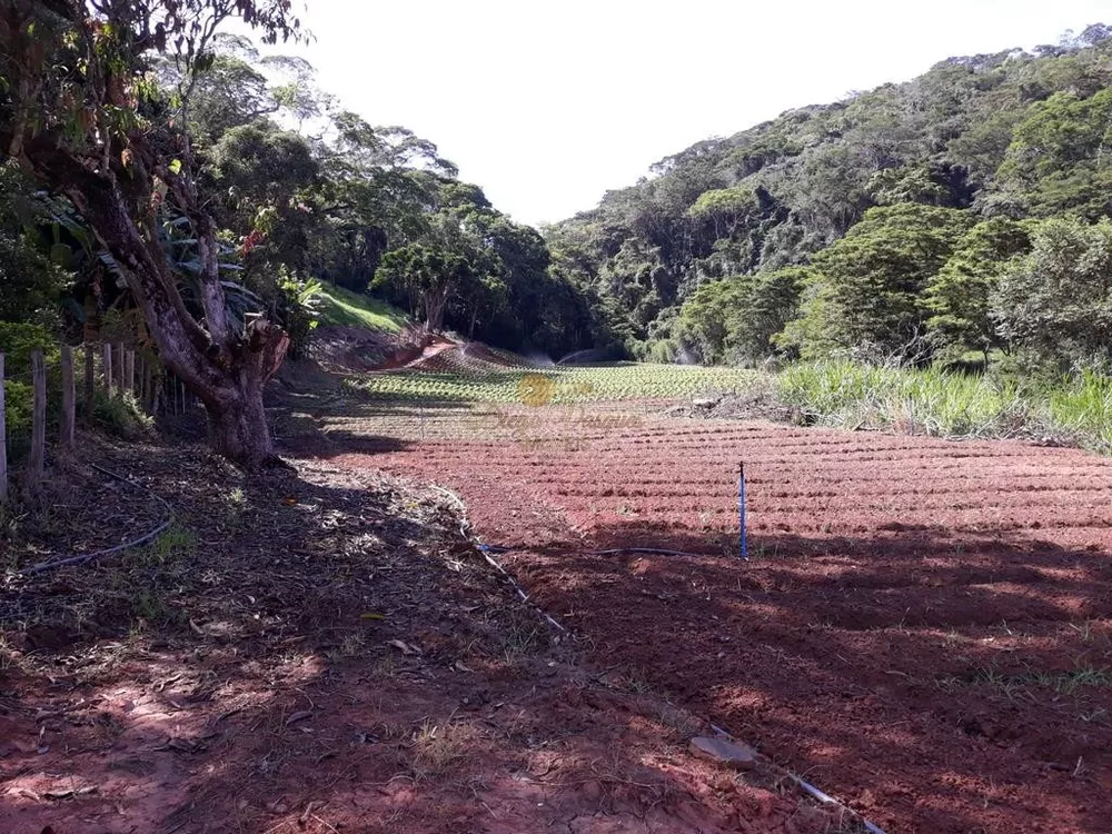 Sítio, 5 quartos, 18 hectares - Foto 6