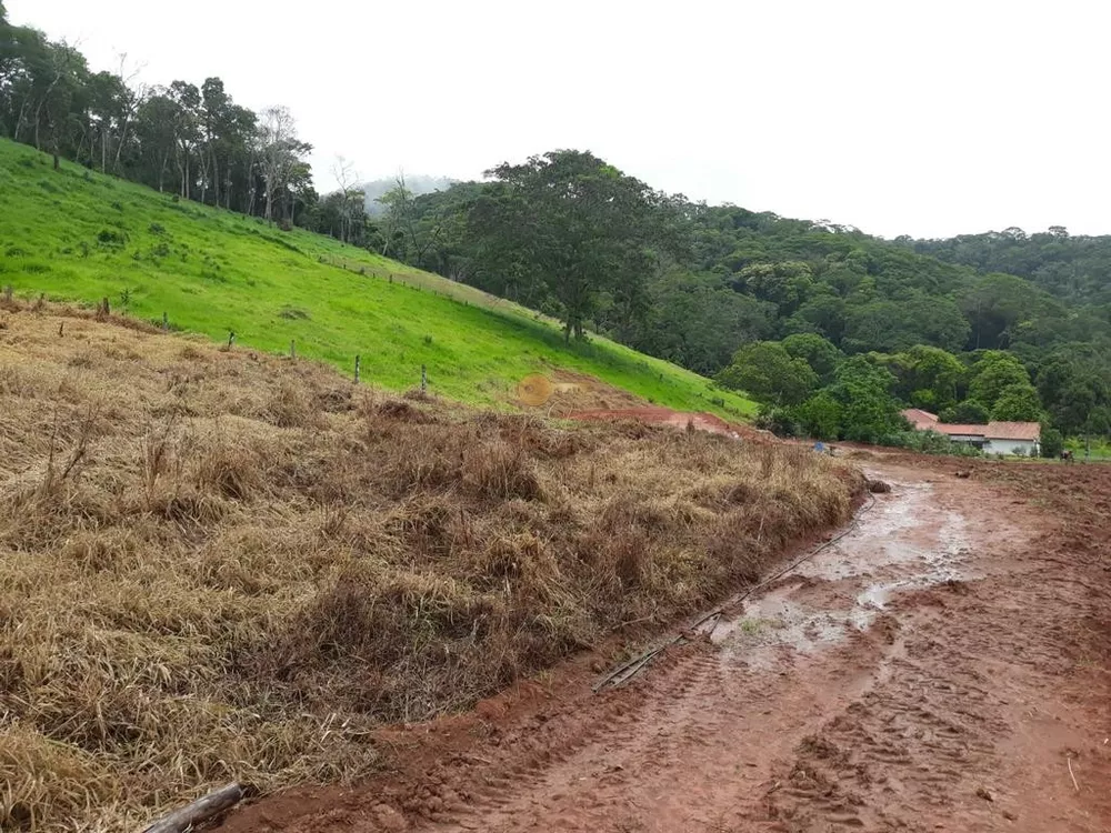 Sítio, 5 quartos, 18 hectares - Foto 12