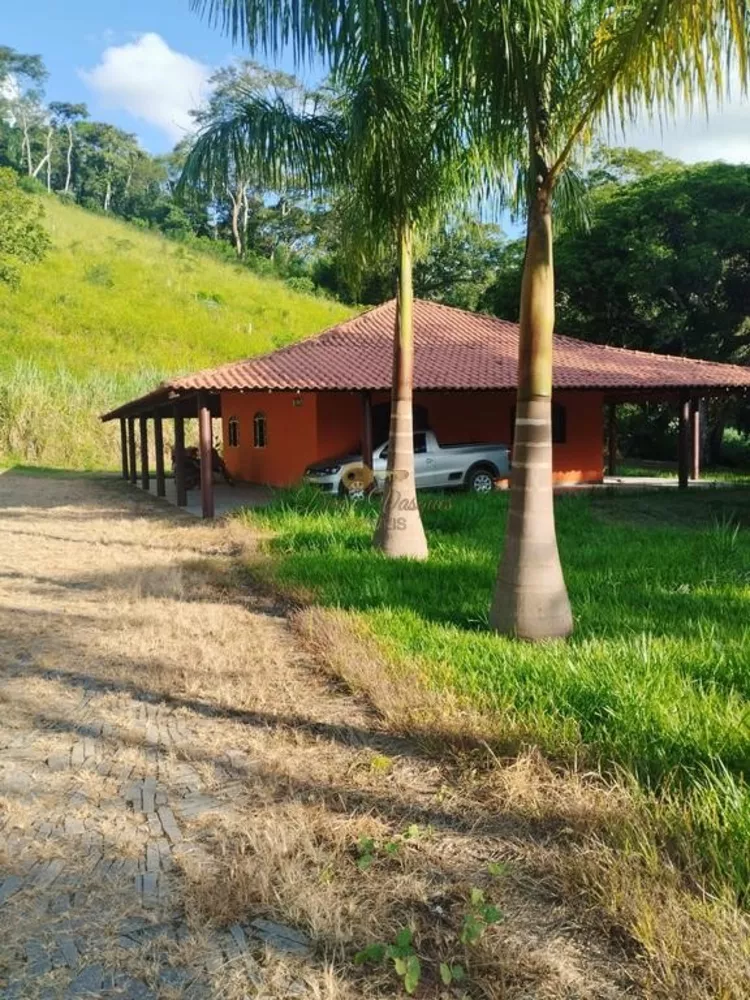 Sítio, 5 quartos, 18 hectares - Foto 3