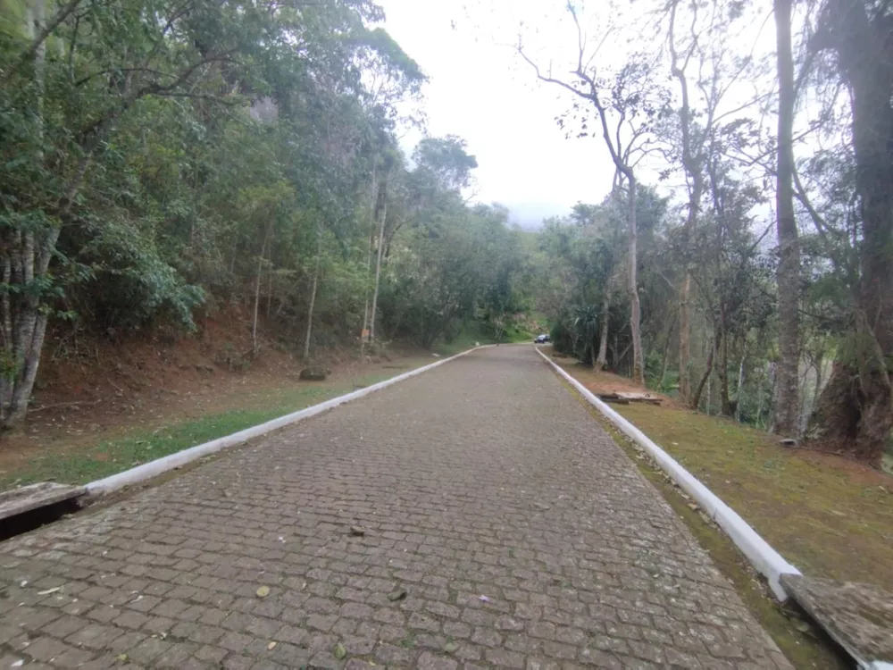 Terreno, 3786 m² - Foto 6