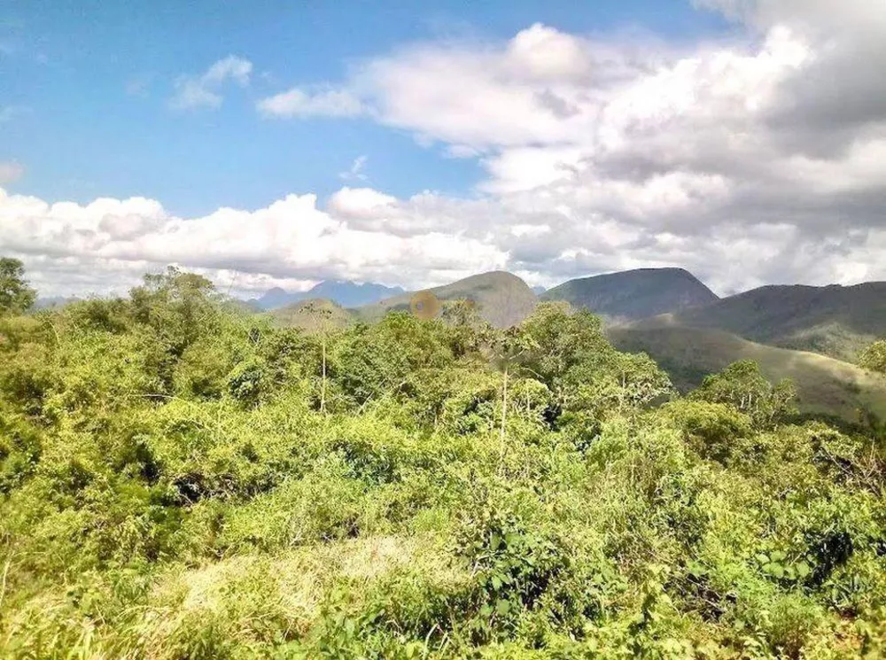 Terreno, 79 hectares - Foto 4