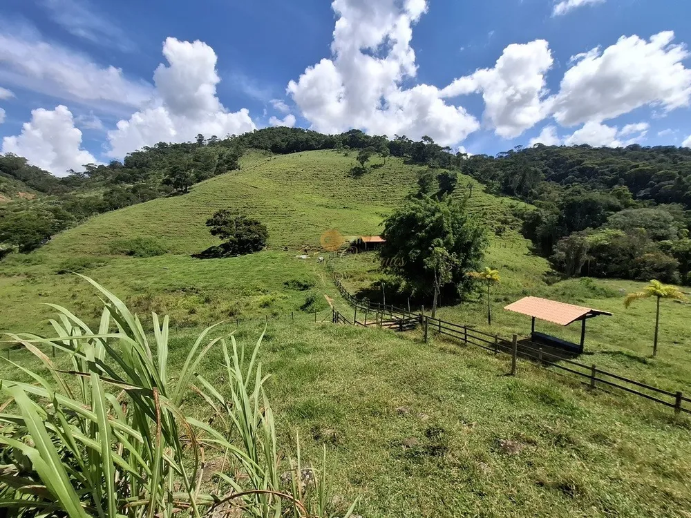 Sítio, 3 quartos, 6 hectares - Foto 38