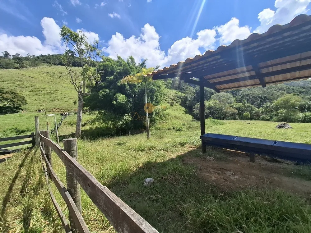 Sítio, 3 quartos, 6 hectares - Foto 44