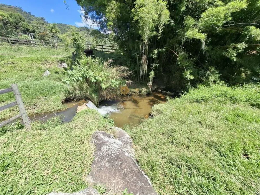 Sítio, 3 quartos, 6 hectares - Foto 32