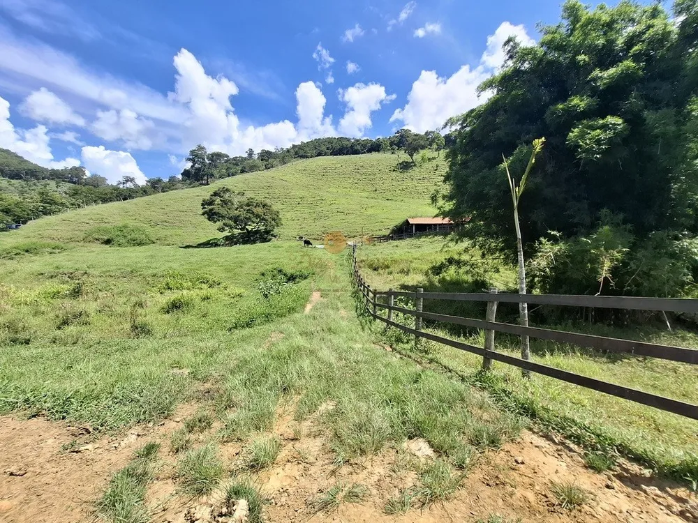 Sítio, 3 quartos, 6 hectares - Foto 43