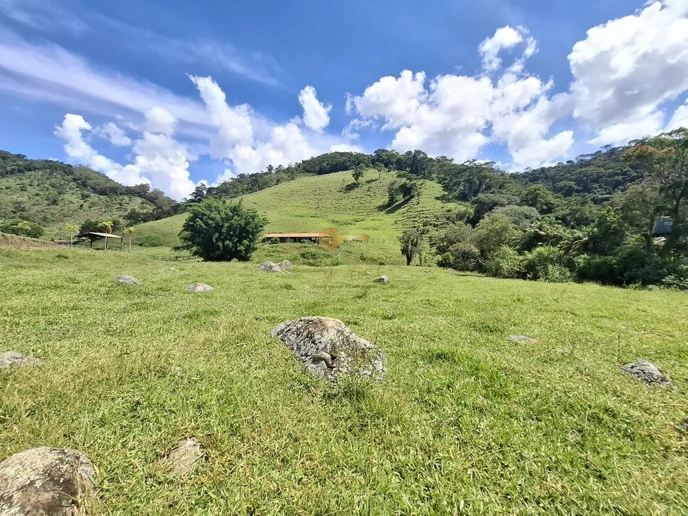 Sítio, 3 quartos, 6 hectares - Foto 45