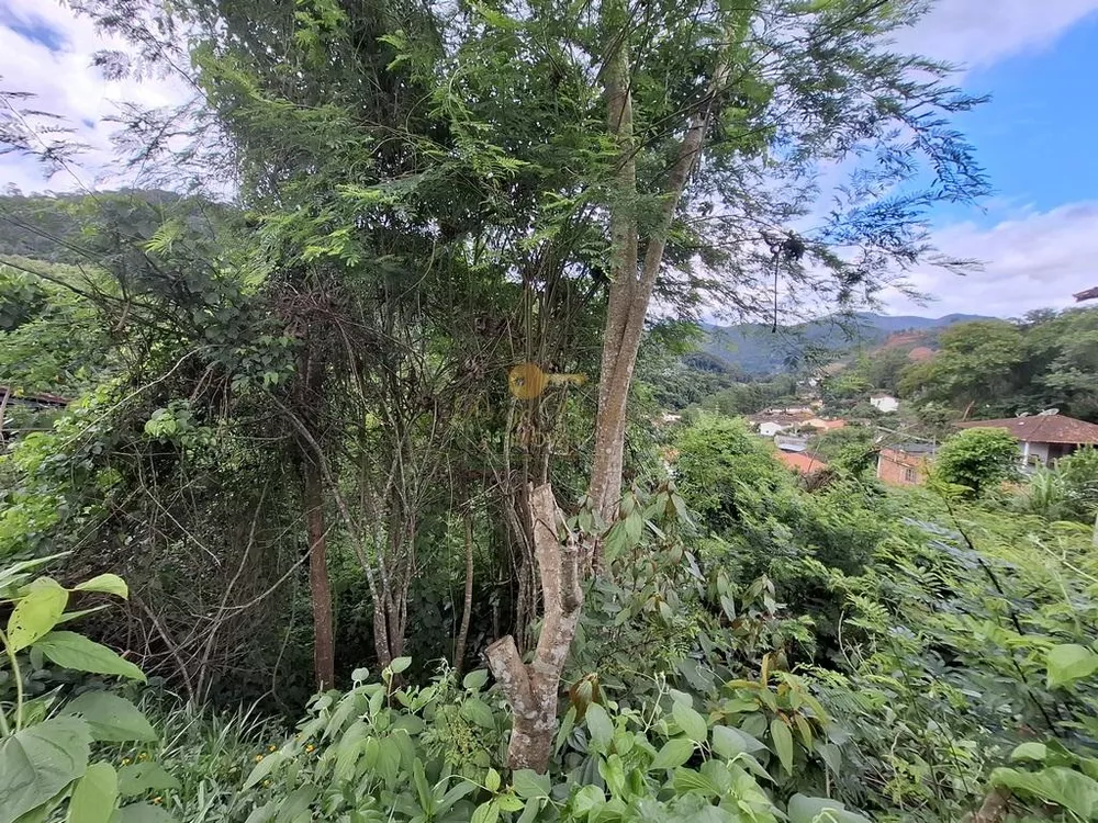 Terreno, 1046 m² - Foto 5