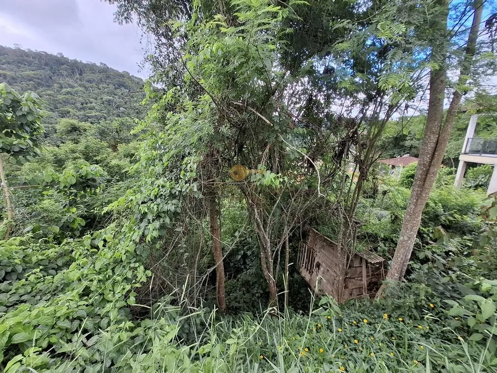 Terreno, 1046 m² - Foto 4