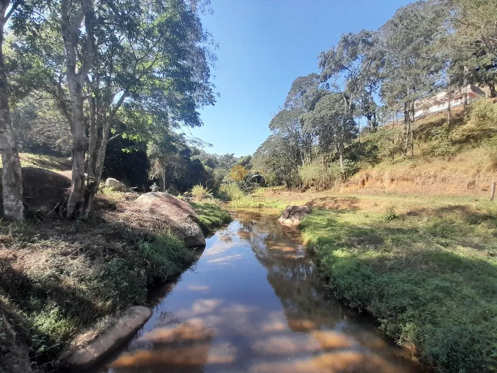 Fazenda, 39 hectares - Foto 14