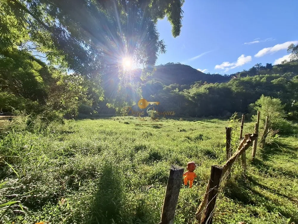 Fazenda, 39 hectares - Foto 60