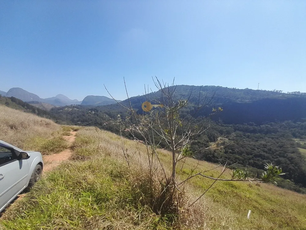 Fazenda, 39 hectares - Foto 33