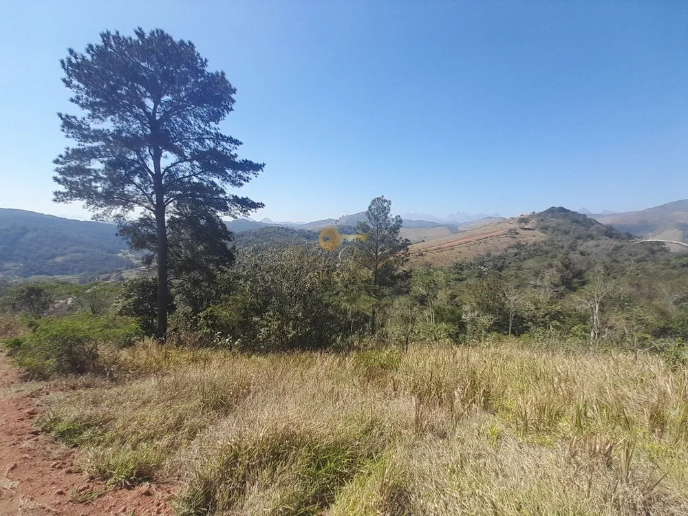 Fazenda, 39 hectares - Foto 29