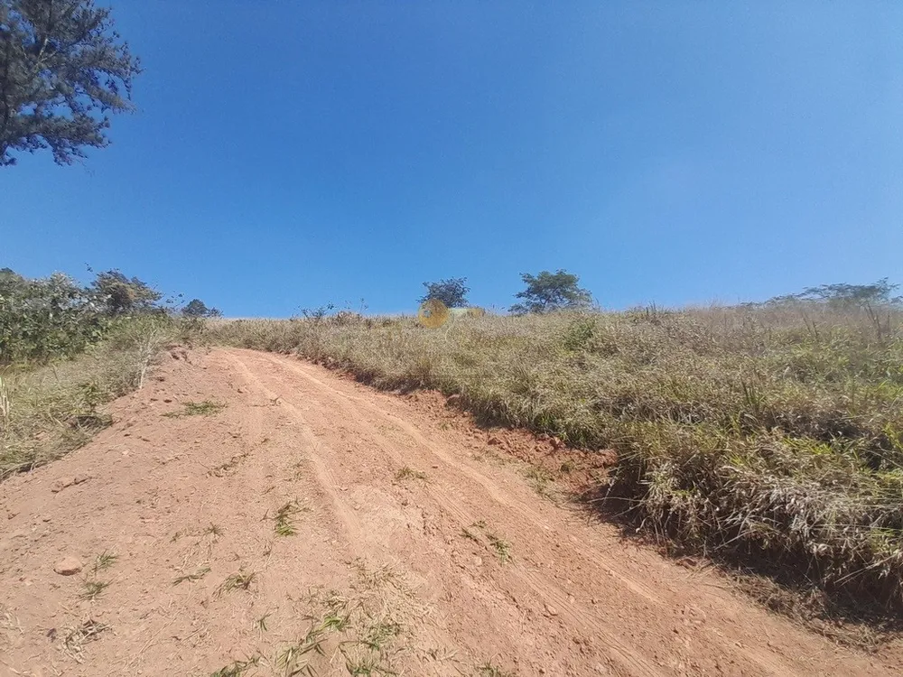 Fazenda, 39 hectares - Foto 31