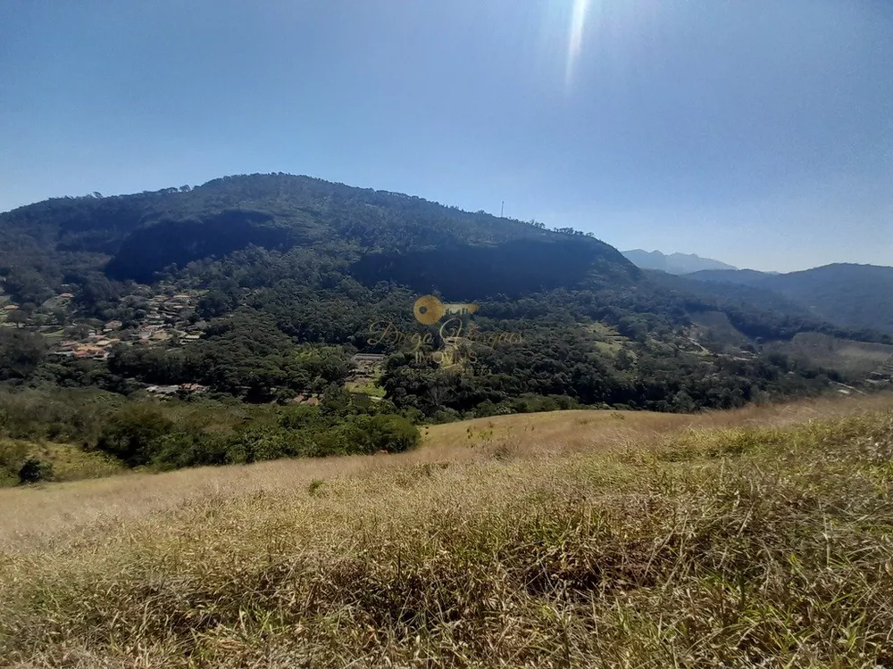 Fazenda, 39 hectares - Foto 34