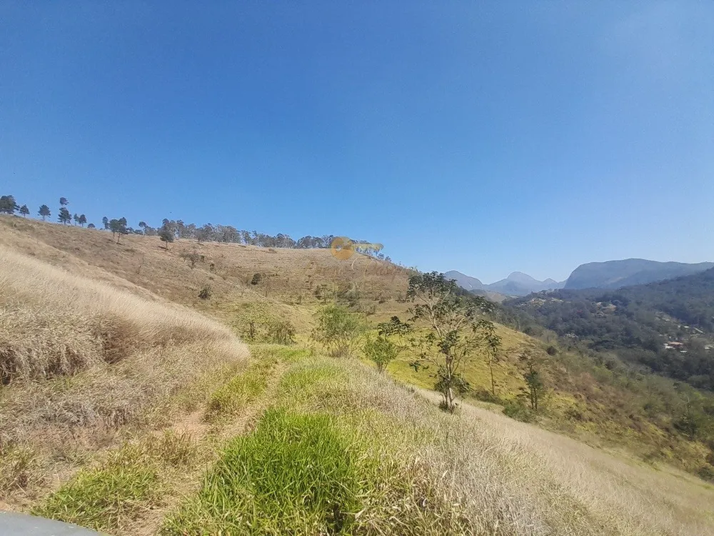 Fazenda, 39 hectares - Foto 37