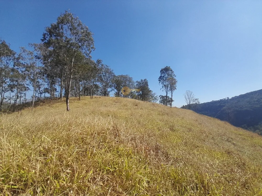 Fazenda, 39 hectares - Foto 21