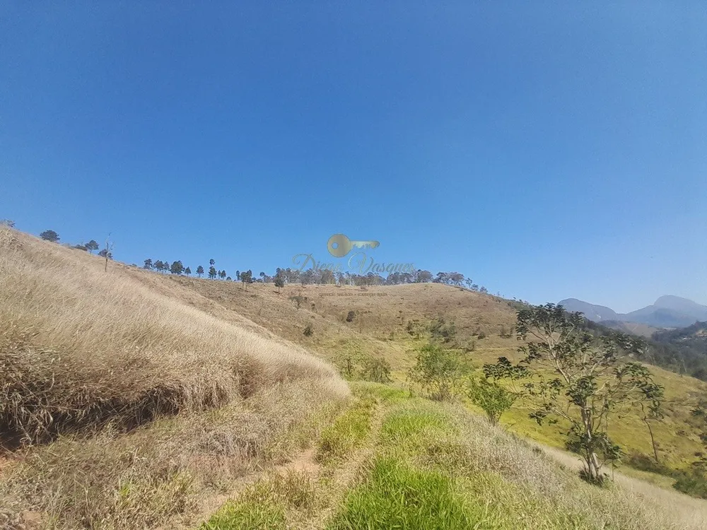 Fazenda, 39 hectares - Foto 38