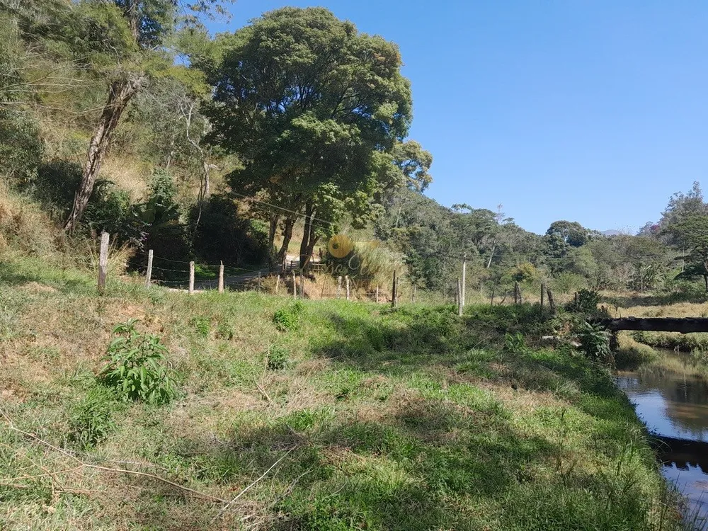 Fazenda, 39 hectares - Foto 51