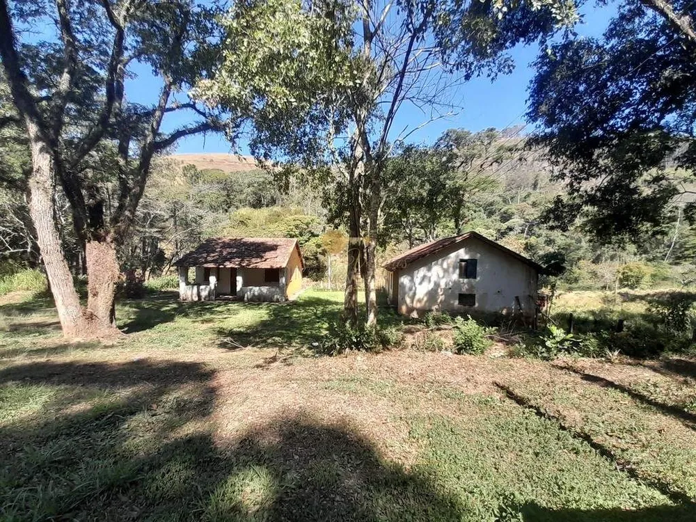 Fazenda, 39 hectares - Foto 8