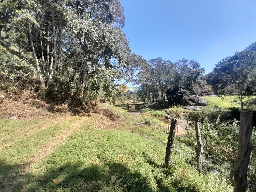 Fazenda, 39 hectares - Foto 49
