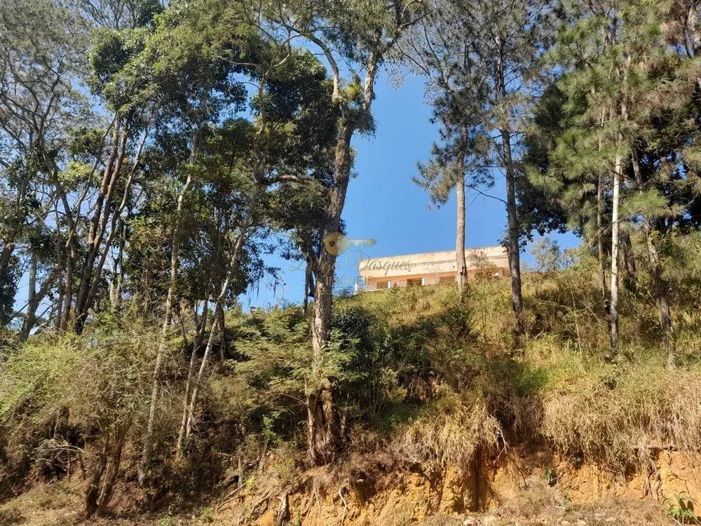 Fazenda, 39 hectares - Foto 53