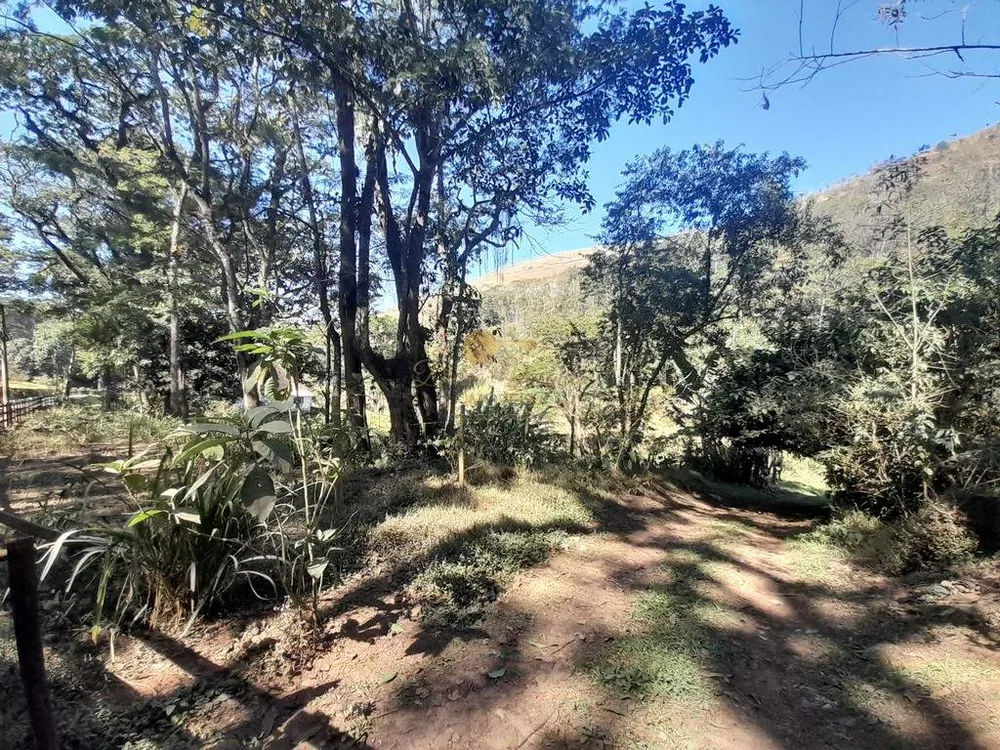 Fazenda, 39 hectares - Foto 54